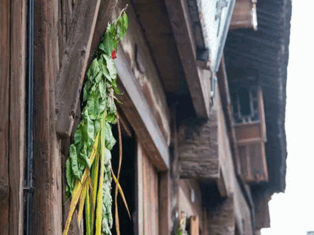 无码人妻AV一二区二区三区