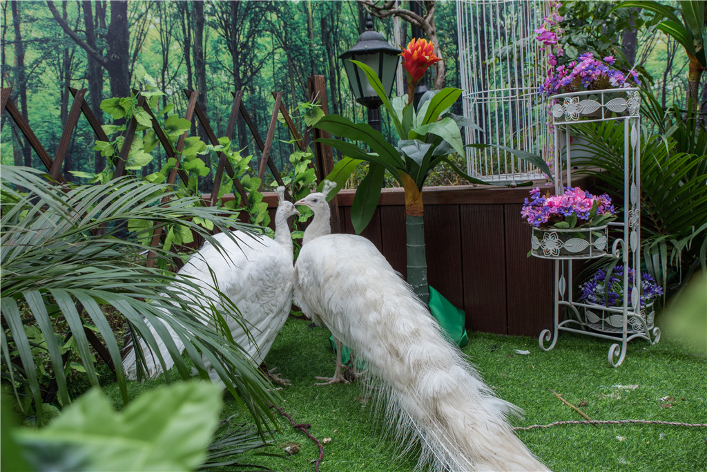 无码人妻AV一二区二区三区