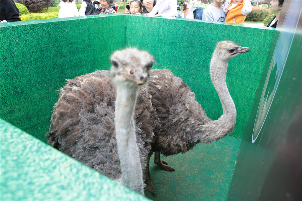 无码人妻AV一二区二区三区