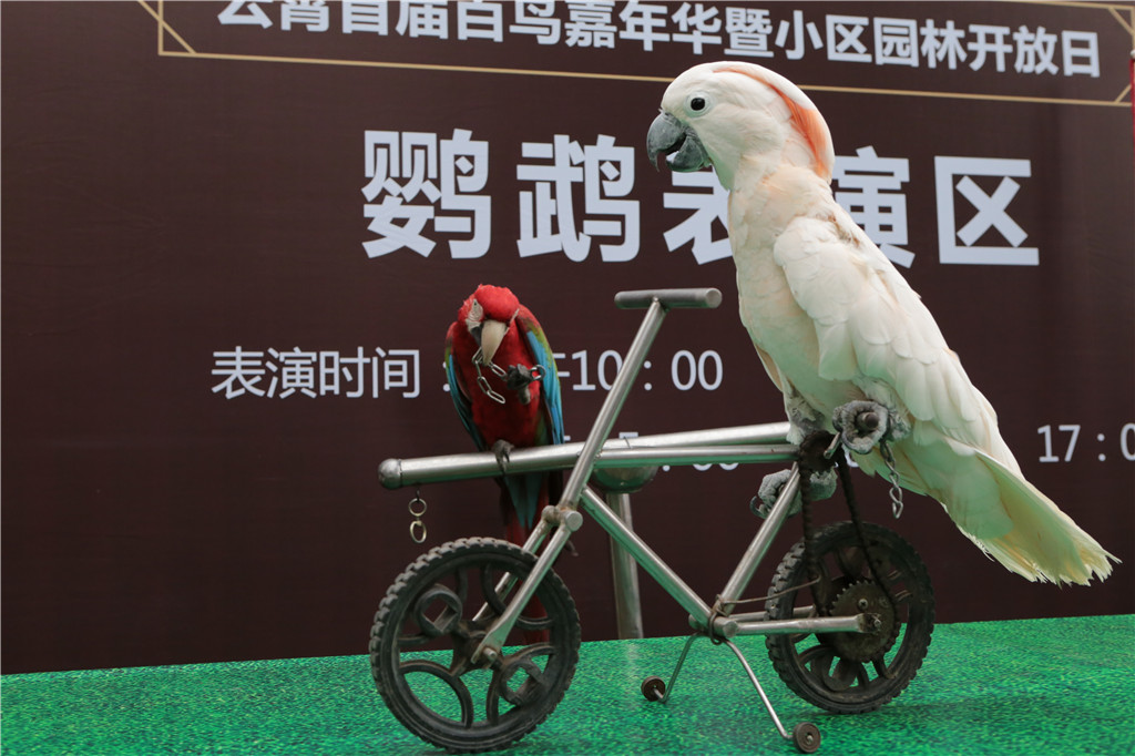 无码人妻AV一二区二区三区