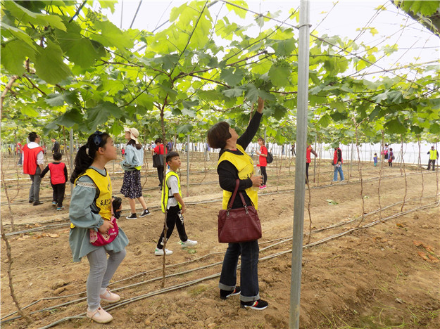 无码人妻AV一二区二区三区