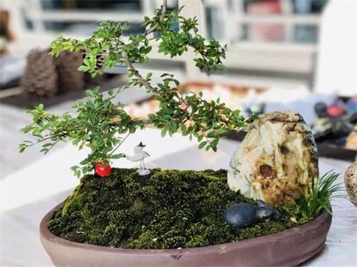 无码人妻AV一二区二区三区