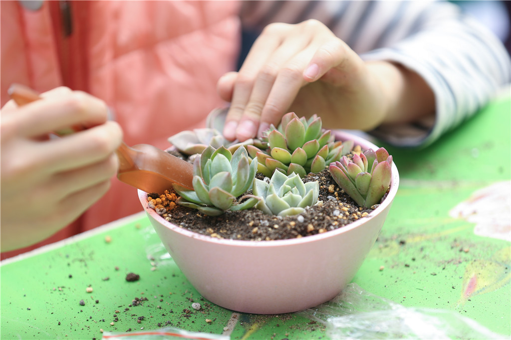 无码人妻AV一二区二区三区