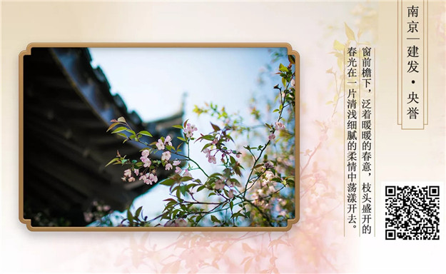 无码人妻AV一二区二区三区