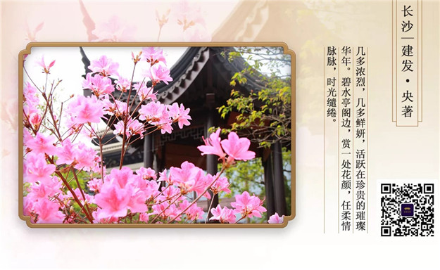 无码人妻AV一二区二区三区