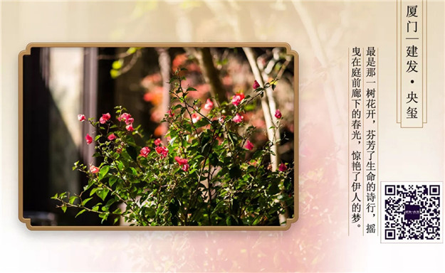 无码人妻AV一二区二区三区