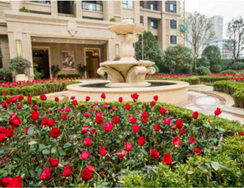 建发·中央公园：样板开放彰显匠心