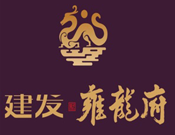 合肥首子案名公布 建发·雍龙府亮相庐州